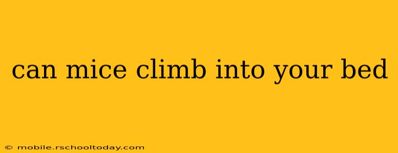 can mice climb into your bed