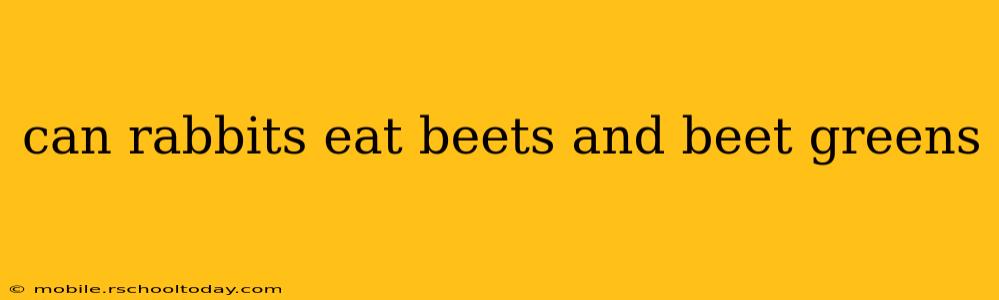 can rabbits eat beets and beet greens