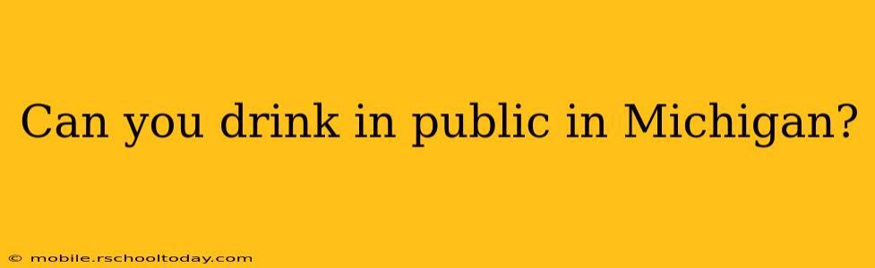 Can you drink in public in Michigan?