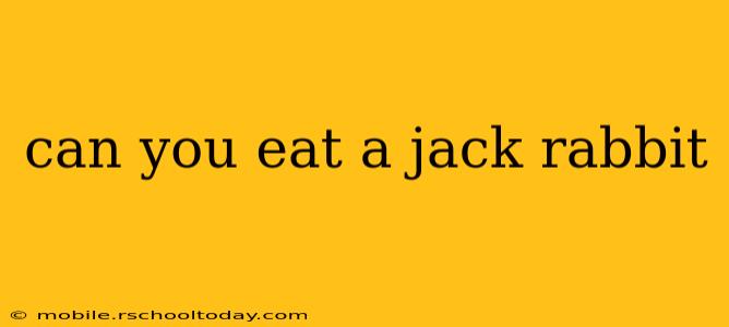 can you eat a jack rabbit