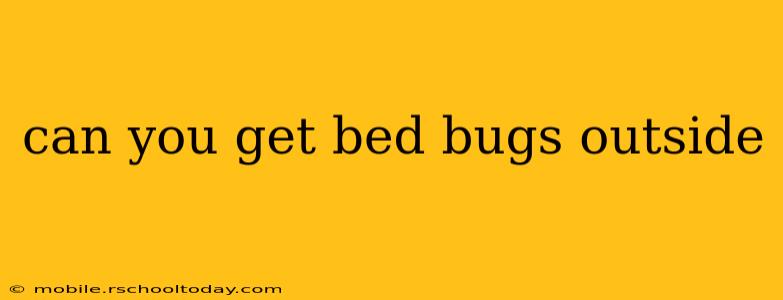 can you get bed bugs outside