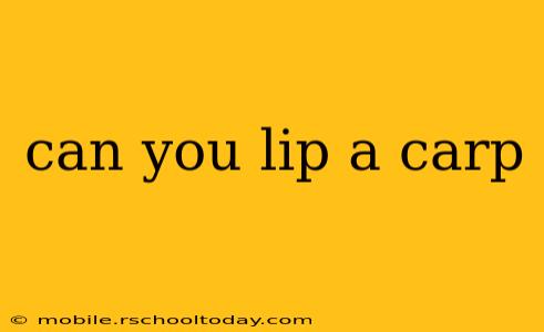can you lip a carp