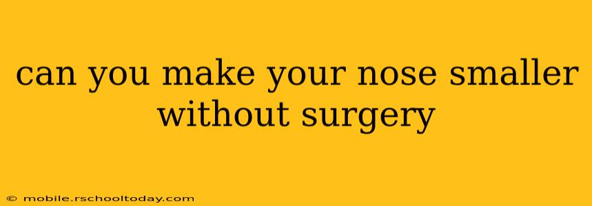 can you make your nose smaller without surgery