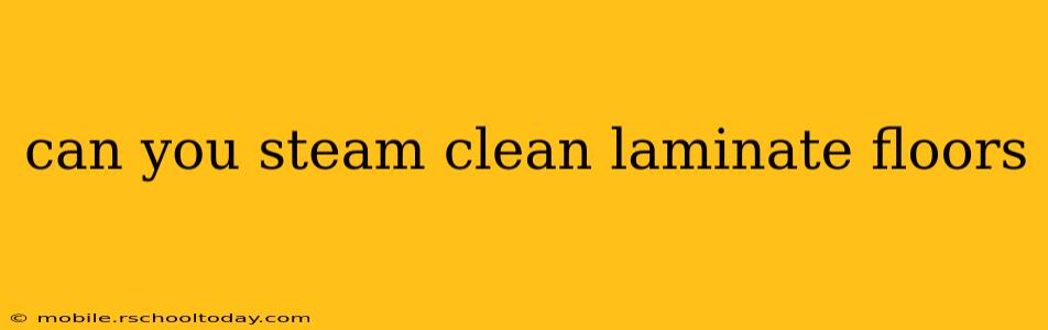 can you steam clean laminate floors