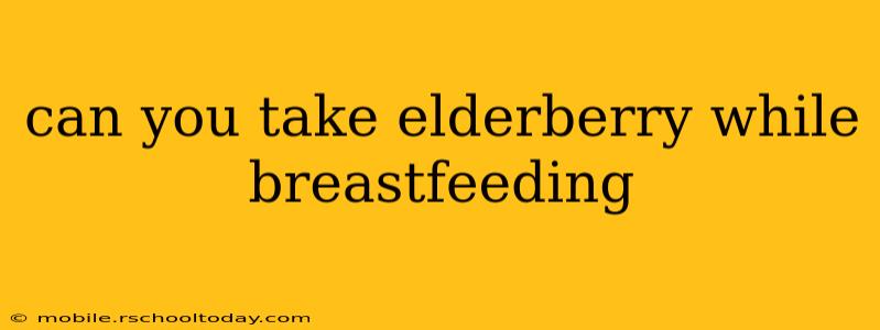 can you take elderberry while breastfeeding
