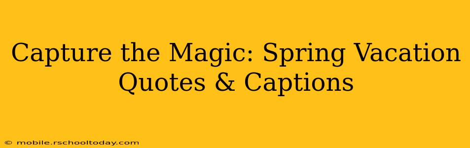 Capture the Magic: Spring Vacation Quotes & Captions
