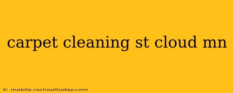 carpet cleaning st cloud mn