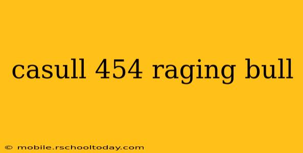 casull 454 raging bull