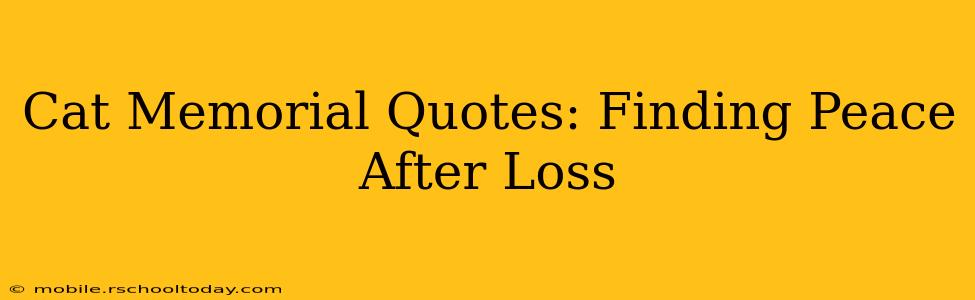 Cat Memorial Quotes: Finding Peace After Loss