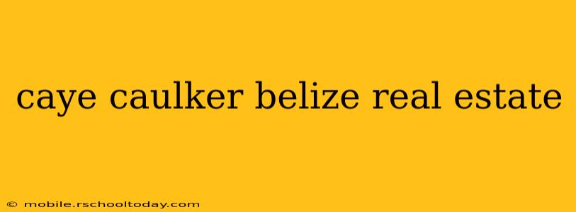 caye caulker belize real estate