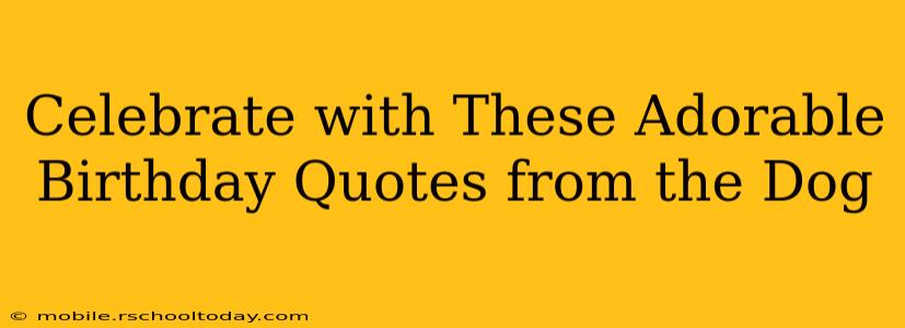 Celebrate with These Adorable Birthday Quotes from the Dog