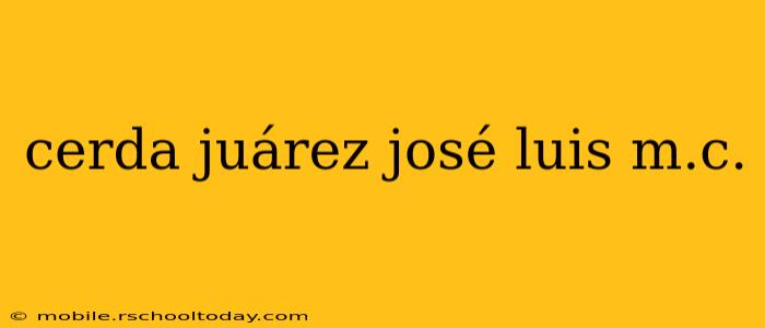 cerda juárez josé luis m.c.