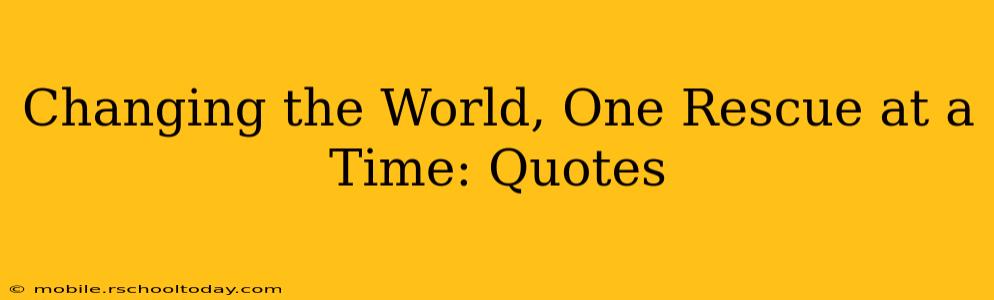Changing the World, One Rescue at a Time: Quotes