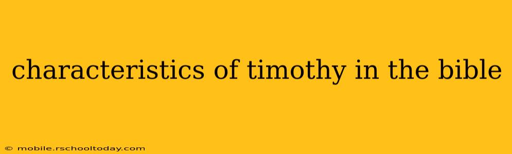characteristics of timothy in the bible