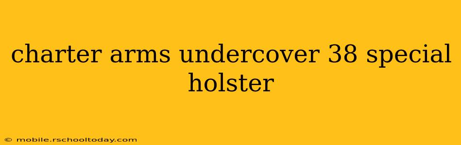 charter arms undercover 38 special holster