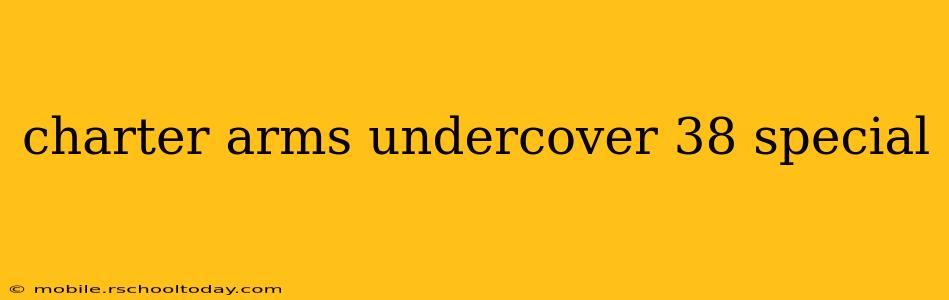 charter arms undercover 38 special