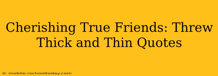 Cherishing True Friends: Threw Thick and Thin Quotes