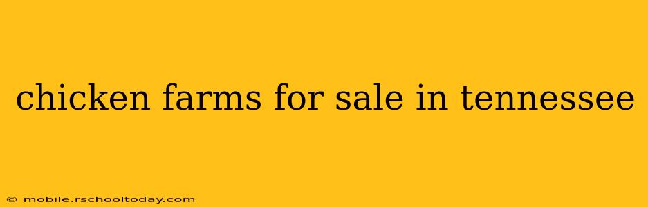 chicken farms for sale in tennessee