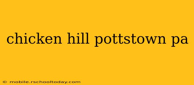 chicken hill pottstown pa