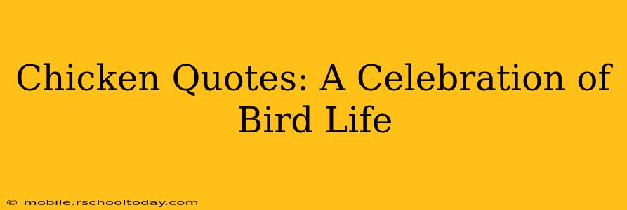 Chicken Quotes: A Celebration of Bird Life