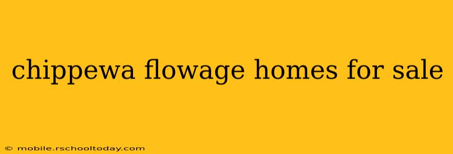 chippewa flowage homes for sale