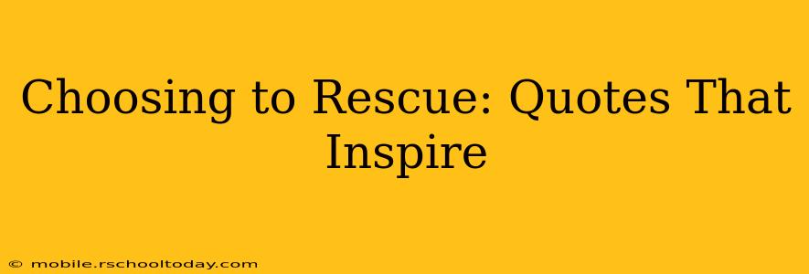 Choosing to Rescue: Quotes That Inspire