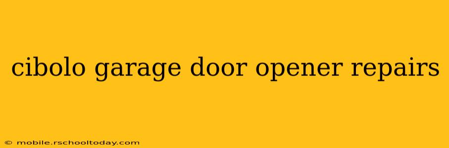 cibolo garage door opener repairs
