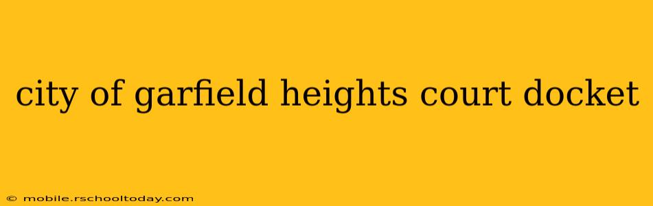 city of garfield heights court docket
