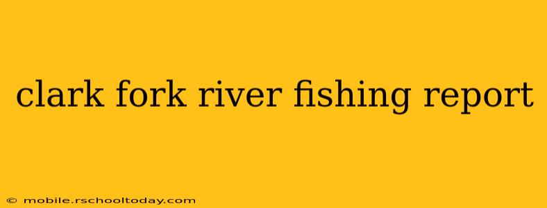 clark fork river fishing report