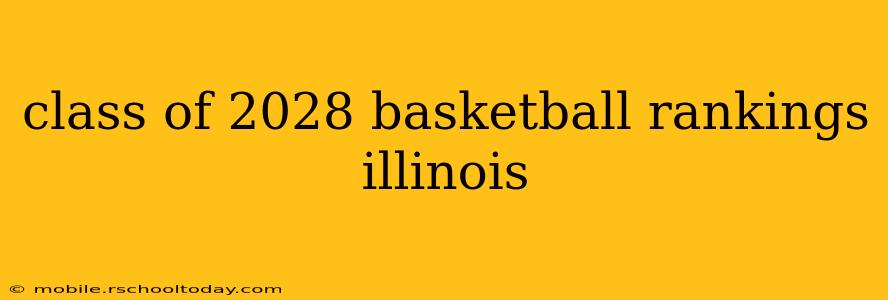 class of 2028 basketball rankings illinois