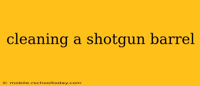 cleaning a shotgun barrel