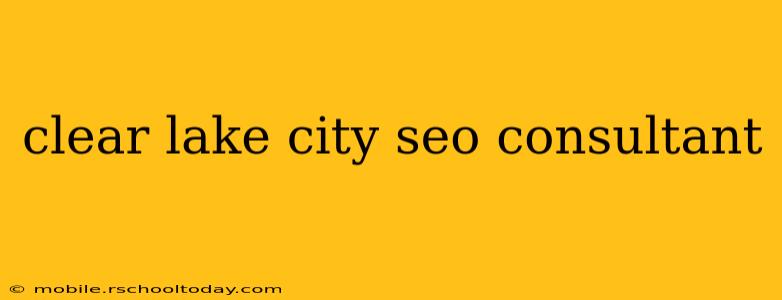 clear lake city seo consultant