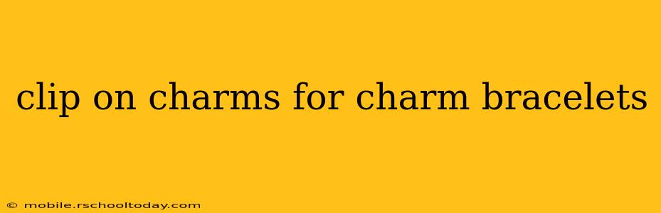 clip on charms for charm bracelets
