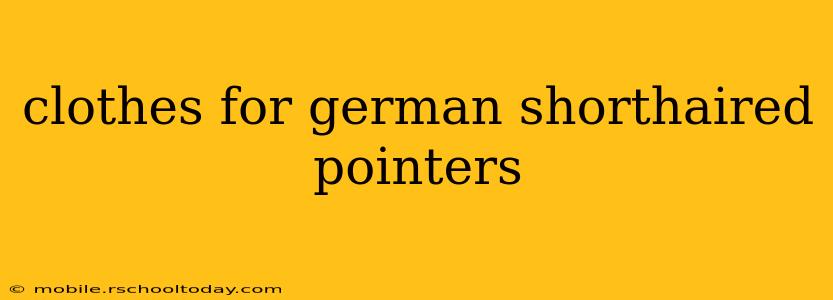clothes for german shorthaired pointers