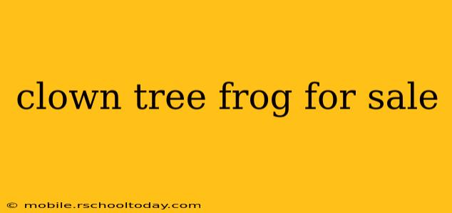 clown tree frog for sale