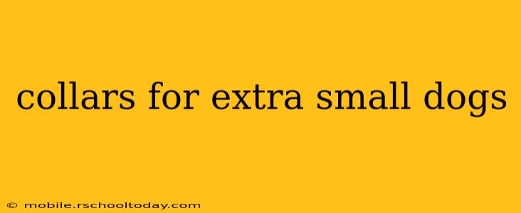 collars for extra small dogs