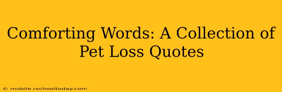 Comforting Words: A Collection of Pet Loss Quotes