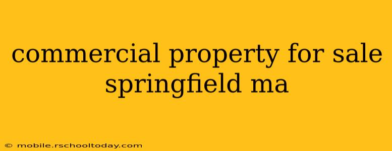 commercial property for sale springfield ma