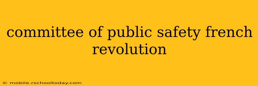 committee of public safety french revolution