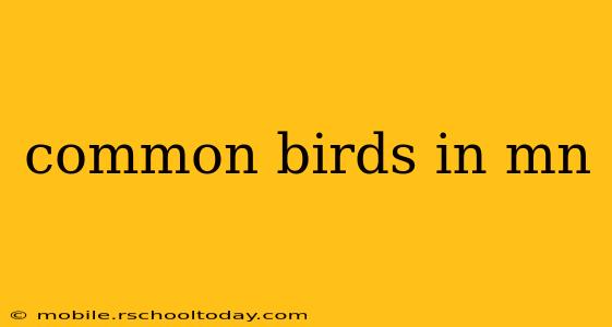 common birds in mn