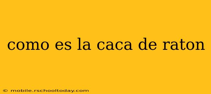 como es la caca de raton