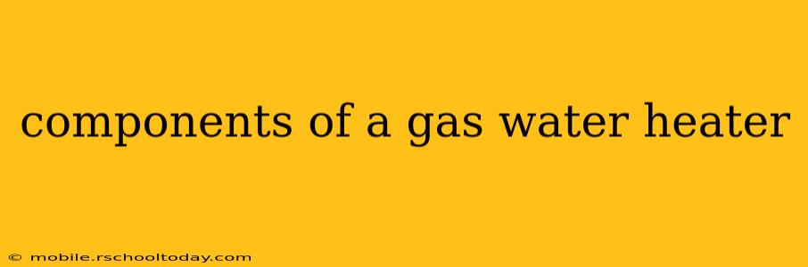components of a gas water heater