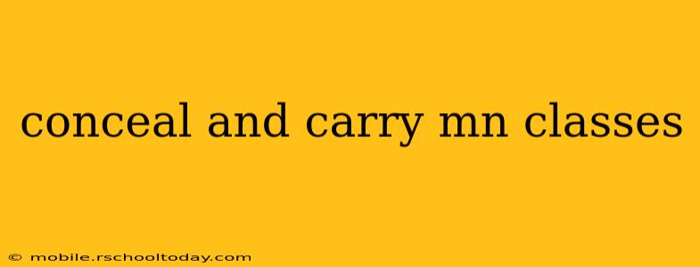 conceal and carry mn classes