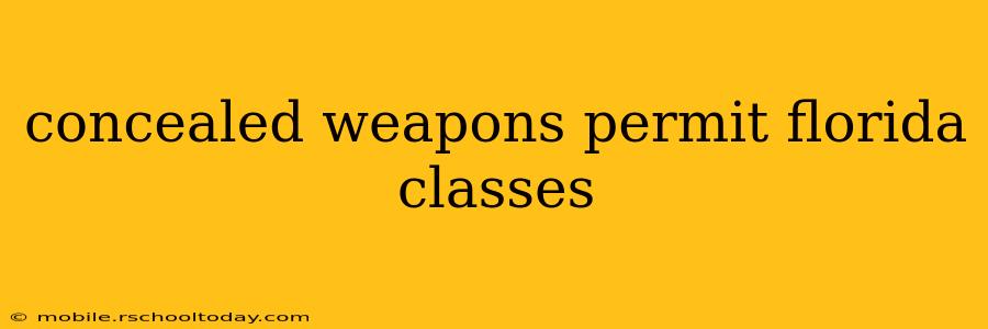 concealed weapons permit florida classes