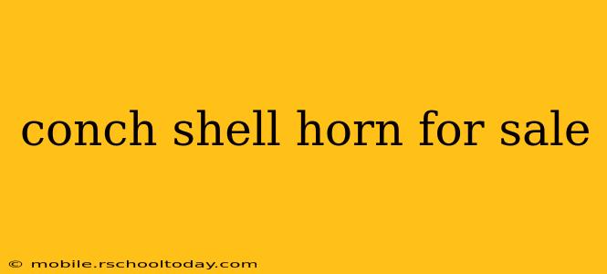 conch shell horn for sale