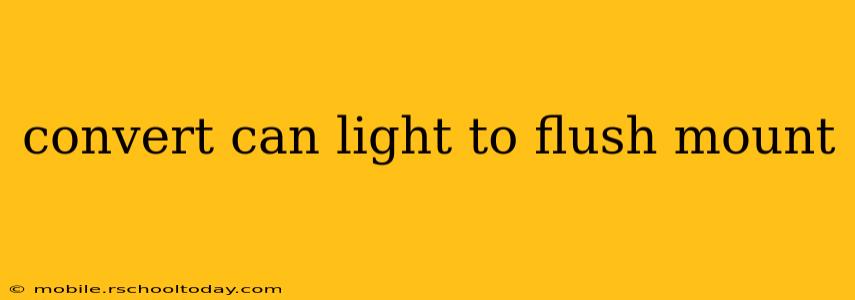 convert can light to flush mount