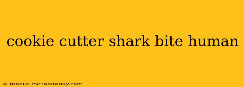 cookie cutter shark bite human
