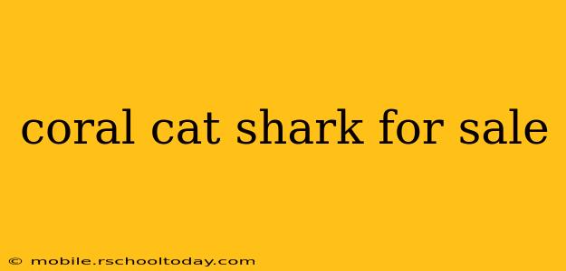 coral cat shark for sale