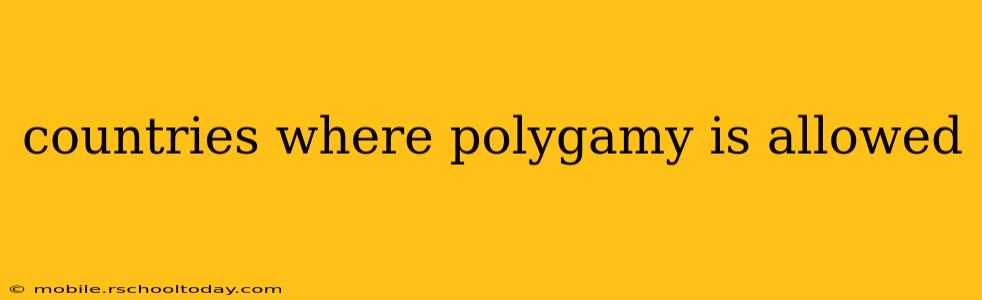 countries where polygamy is allowed