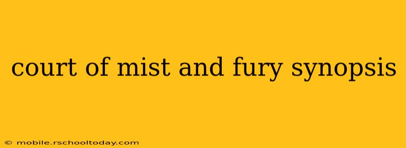 court of mist and fury synopsis